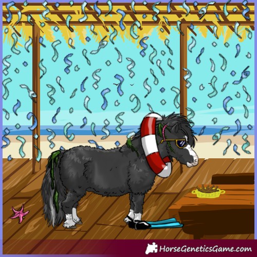 Horse Color:Black Splash 
