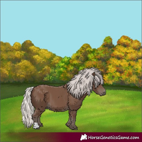 Horse Color:Silver Black 
