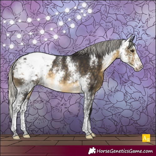Horse Color:Silver Buckskin Sabino Snowcap Rabicano 