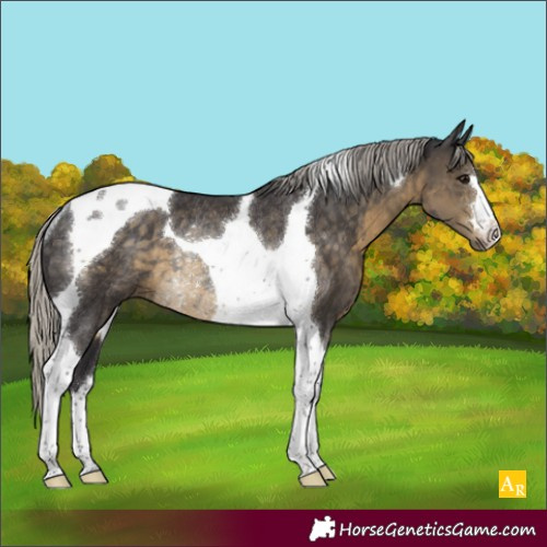 Horse Color:Silver Smoky Black Tobiano Rabicano 