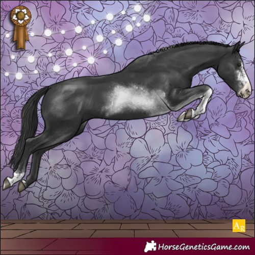 Horse Color:Black Sabino Tobiano Rabicano
