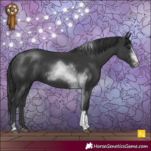 Horse Color:Black Sabino Tobiano Rabicano