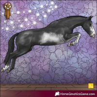 Horse Color:Black Sabino Tobiano Rabicano 