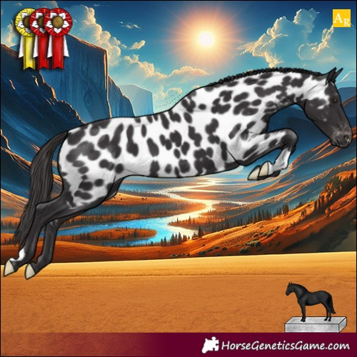 Horse Color:Smoky Black Appaloosa 