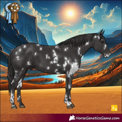 Horse Color:White Spotted Smoky Black 