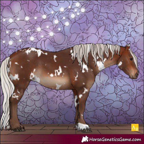 Horse Color:White Spotted Silver Bay