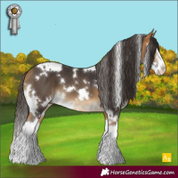 Horse Color:White Spotted Buckskin Splash 