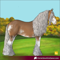 Horse Color:Silver Buckskin Sabino