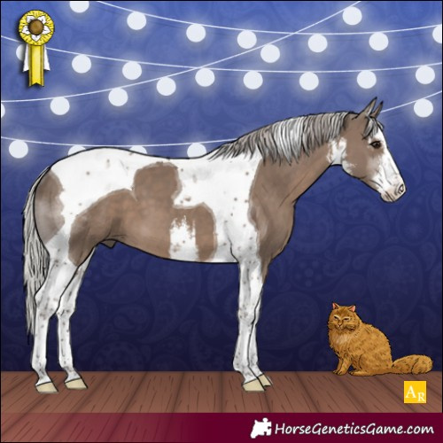 Horse Color:White Spotted Silver Grullo Tobiano 