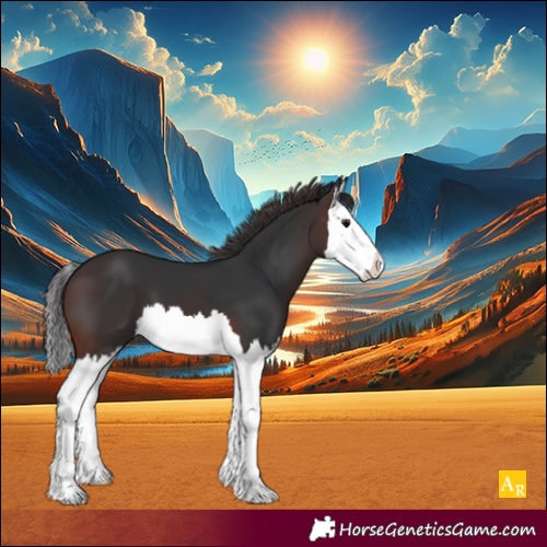 Horse Color:Brown Splash 