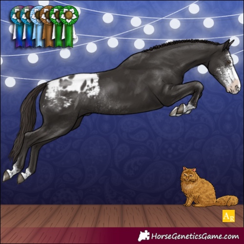 Horse Color:Liver Chestnut Sabino Appaloosa Rabicano