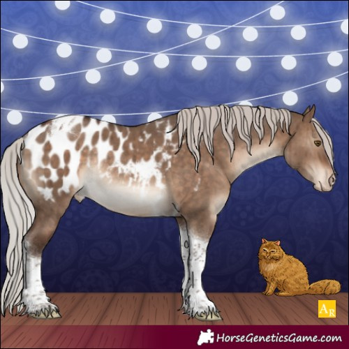 Horse Color:Silver Brown Dun Tobiano Appaloosa Rabicano Brindle 