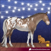 Horse Color:Silver Brown Dun Tobiano Appaloosa Rabicano Brindle 