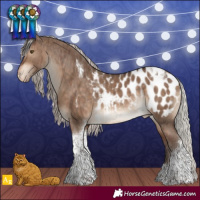 Horse Color:Silver Brown Dun Tobiano Appaloosa Rabicano Brindle