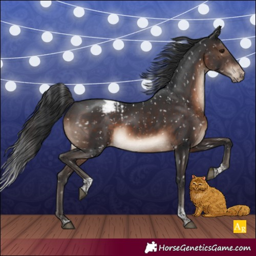 Horse Color:Brown Mushroom Tobiano Appaloosa 