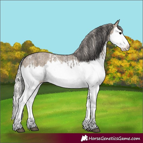 Horse Color:Grullo Sabino Splash  and Silver Grullo Sabino Splash 