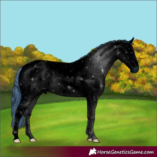 Horse Color:ERROR: UNKNOWN ANOMALY