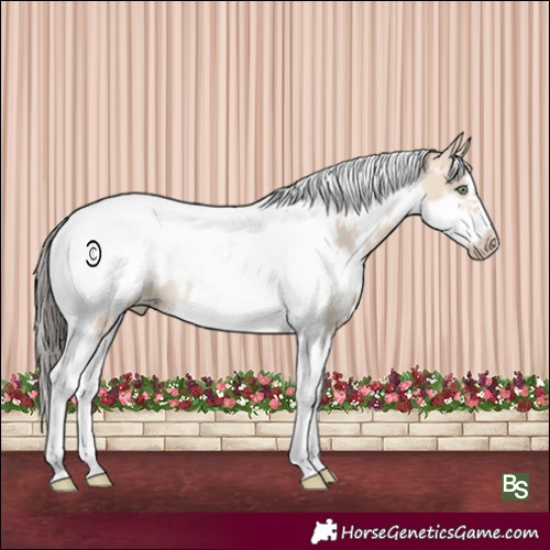 Horse Color:White Spotted Amber Champagne Dun Tobiano Frame 