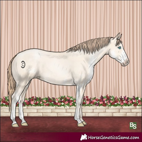 Horse Color:Amber Cream Champagne Pearl Sabino 