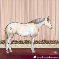 Horse Color:Amber Cream Champagne Pearl Tobiano Frame 