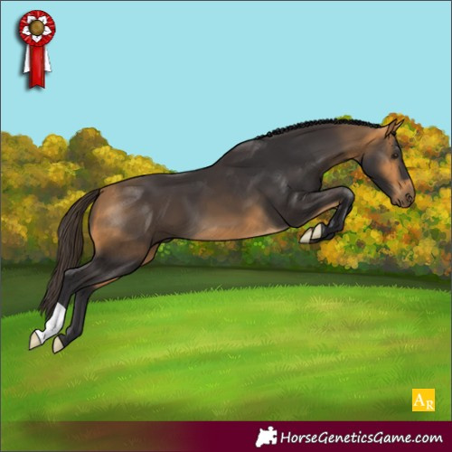 Horse Color:Buckskin 