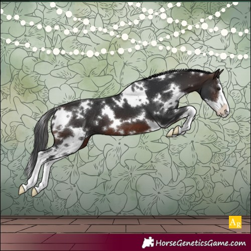 Horse Color:White Spotted Brown Splash 