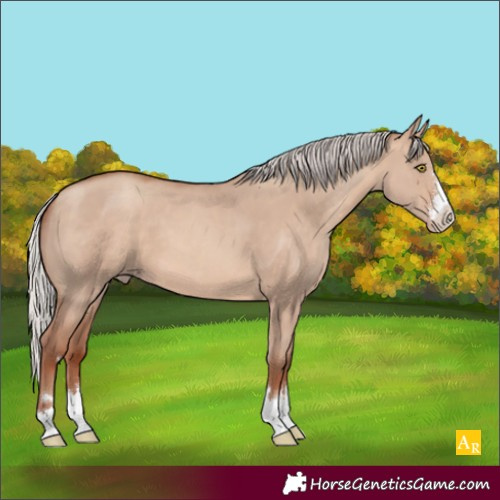 Horse Color:Silver Sable Champagne Dun 