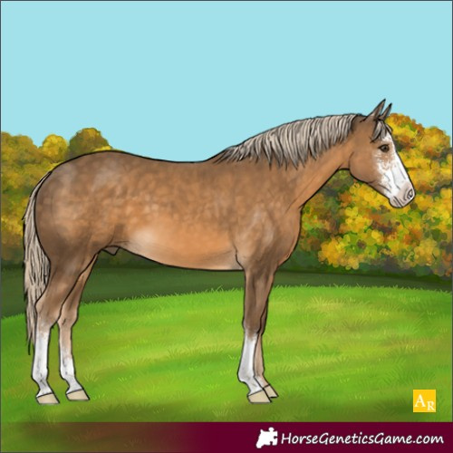 Horse Color:Chocolate Palomino Sabino 