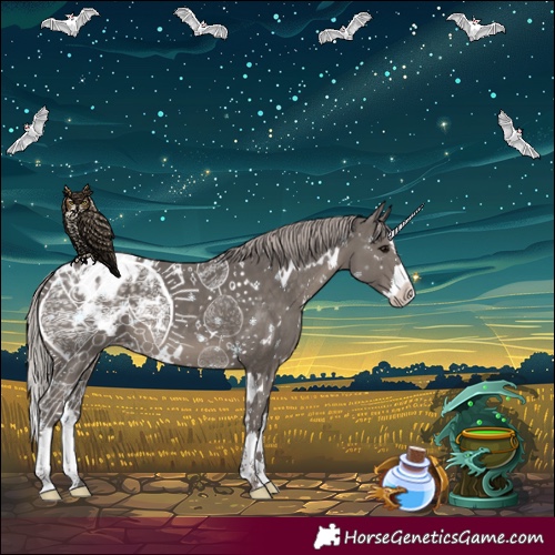 Horse Color:White Spotted Silver Black Splash Blanket 
