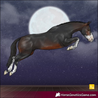 Horse Color:Brown Sabino