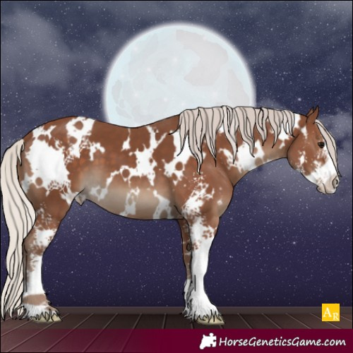 Horse Color:White Spotted Silver Black Sabino 