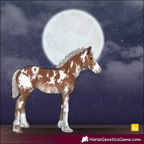 Horse Color:White Spotted Silver Black Sabino 