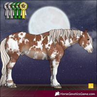 Horse Color:White Spotted Silver Black Sabino