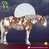 Horse Color:White Spotted Silver Black Sabino