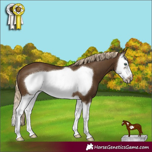 Horse Color:Chocolate Palomino Splash Frame 