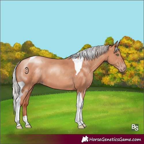 Horse Color:Silver Sable Champagne Tobiano