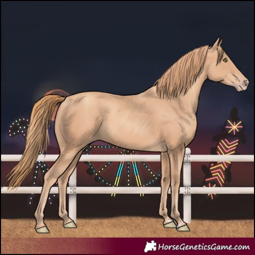 Horse Color:Gold Champagne 