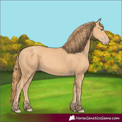 Horse Color:Gold Champagne