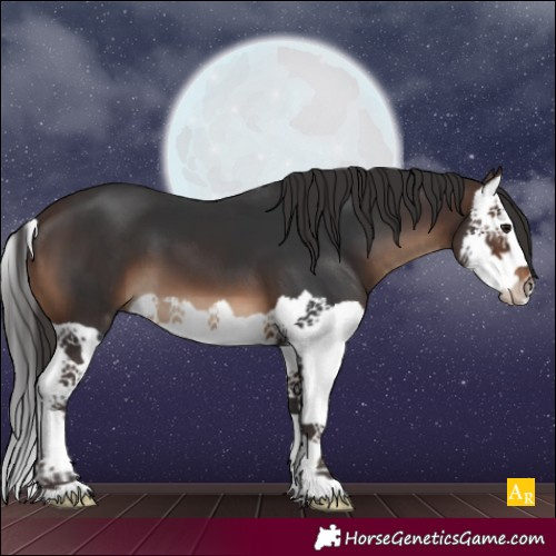Horse Color:Brown Splash 