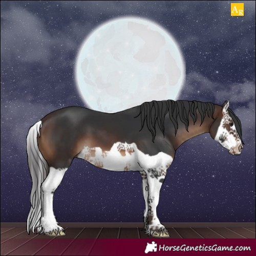 Horse Color:Brown Splash