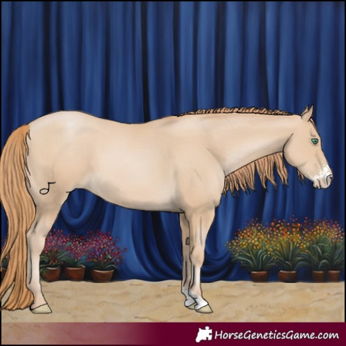 Horse Color:Smoky Black Pearl Sabino 