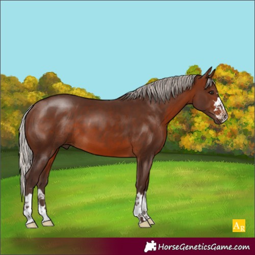 Horse Color:Silver Brown 