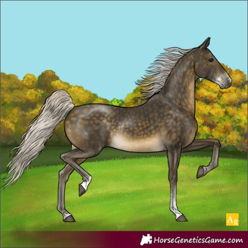 Horse Color:Silver Buckskin Sabino Rabicano