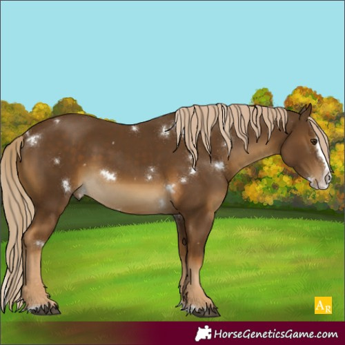 Horse Color:White Spotted Chocolate Palomino Splash