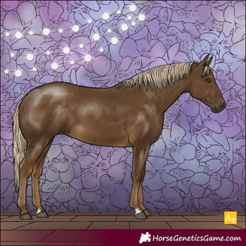 Horse Color:Chocolate Palomino 