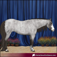 Horse Color:Liver Red Roan Sabino 