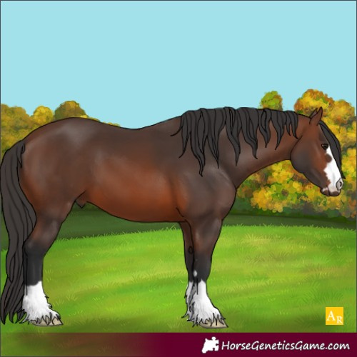 Horse Color:Brown 
