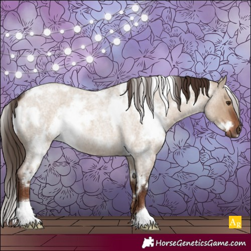 Horse Color:White Spotted Liver Red Dun Roan