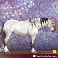 Horse Color:White Spotted Liver Red Dun Roan