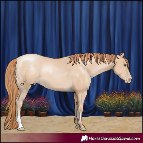 Horse Color:Smoky Black Pearl 